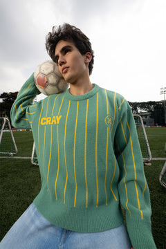 Green and  Yellow Vertical Stripe Jacquard Pullover