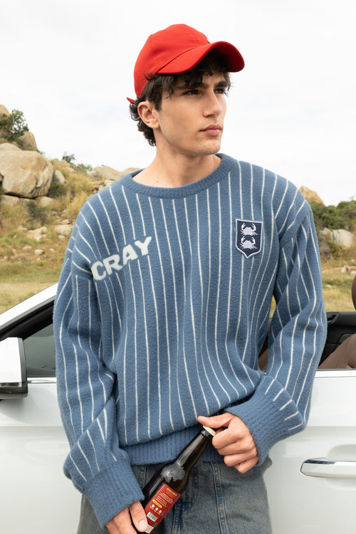 Blue and White Vertical Stripe Jacquard Pullover