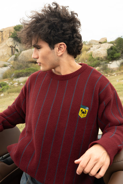 Maroon and Grey Vertical Stripe Jacquard Pullover